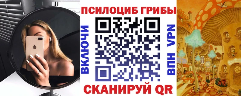 купить закладку  Кедровый  Псилоцибиновые грибы Magic Shrooms 